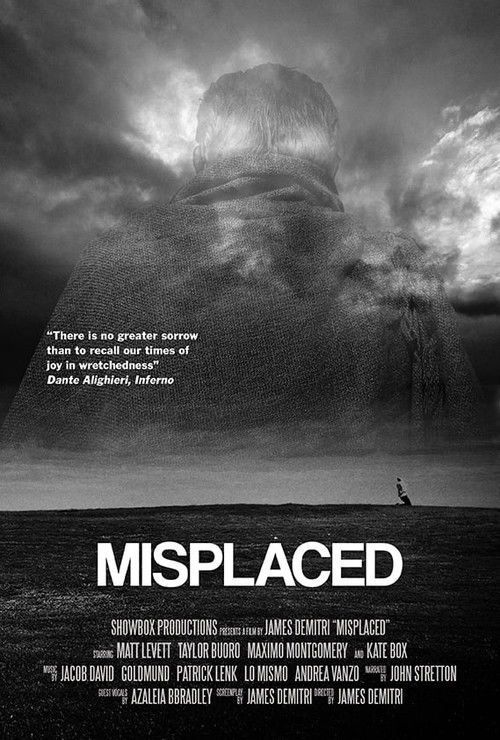 Misplaced (2022) poster