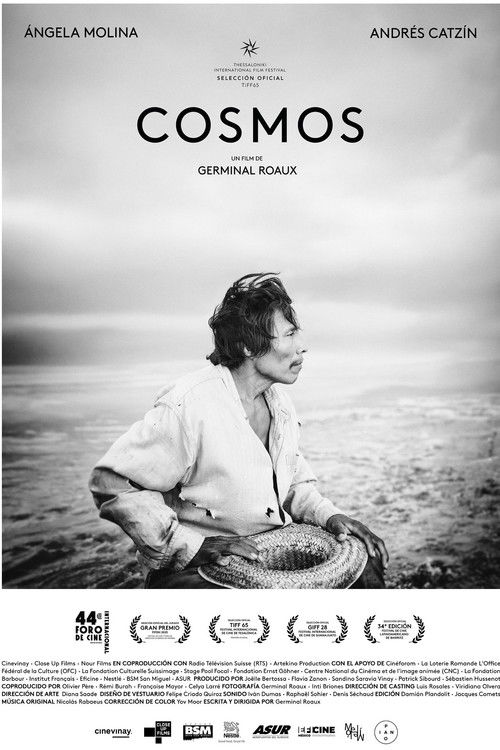 Cosmos (2026) poster
