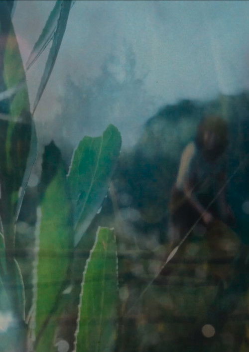 Entre el cielo y la tierra (2024) poster