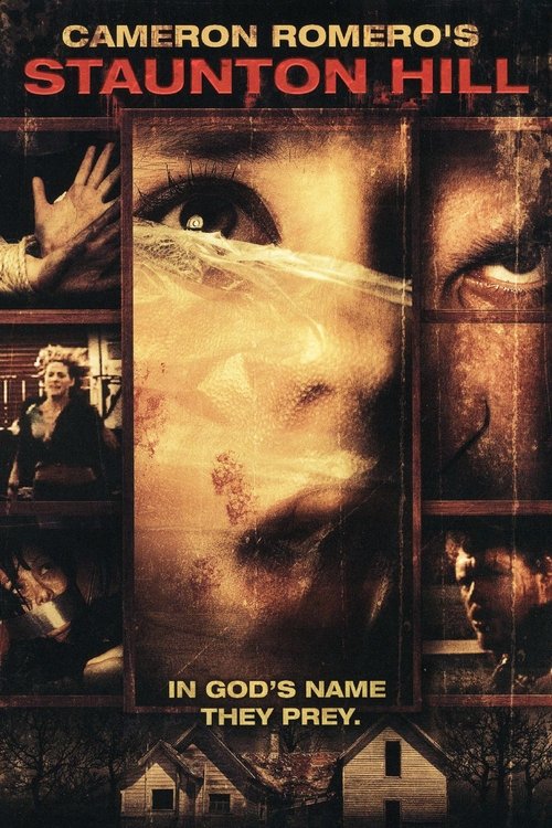 Staunton Hill (2009) poster