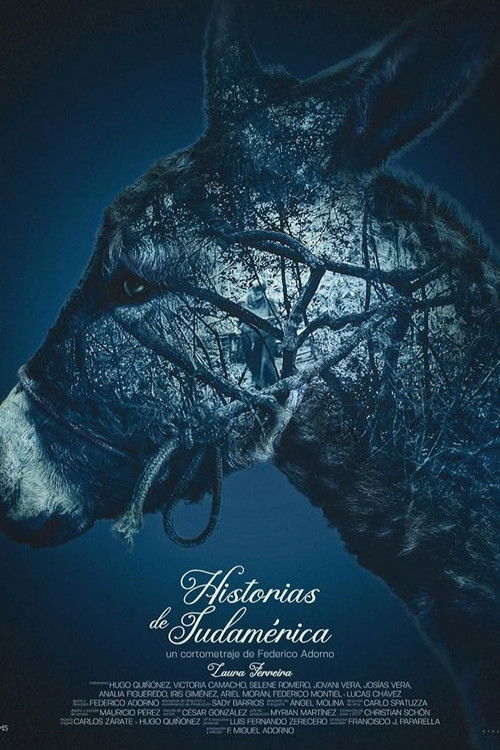 Stories from South America (2024) poster