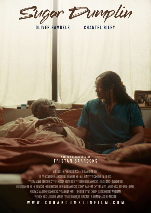 Sugar Dumplin (2025) poster