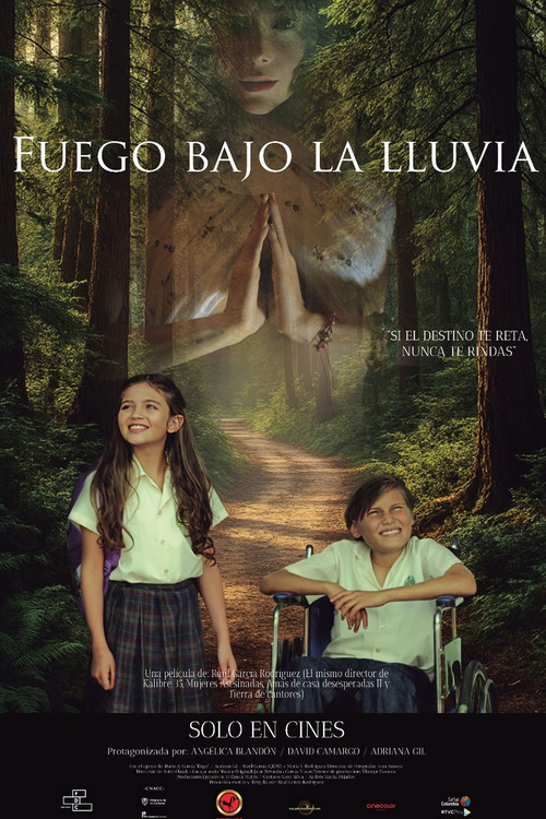 Fuego Bajo La Lluvia (2025) poster