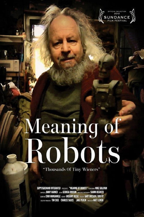 Meaning of Robots (2012) poster