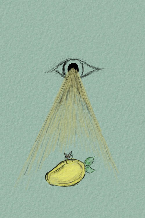 To Be A Fly On Your Mango (2022) poster