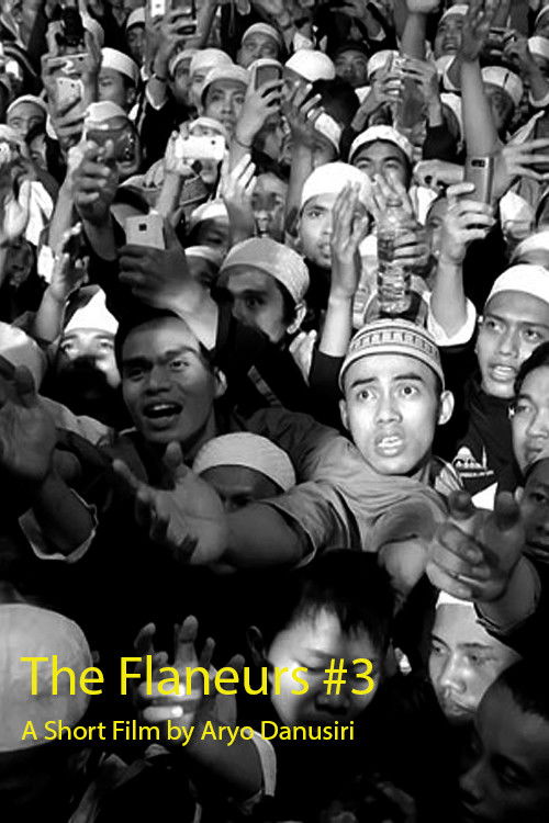 The Flaneurs #3 (2013) poster