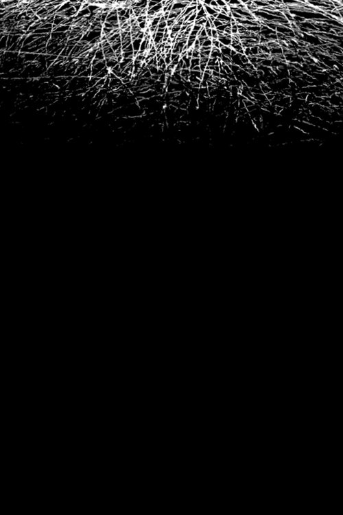 For When I Think, There is This Heaviness That I Would Rather You Not Carry (2025) poster