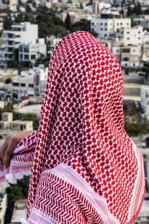 Birds of the Borderlands (2019) poster