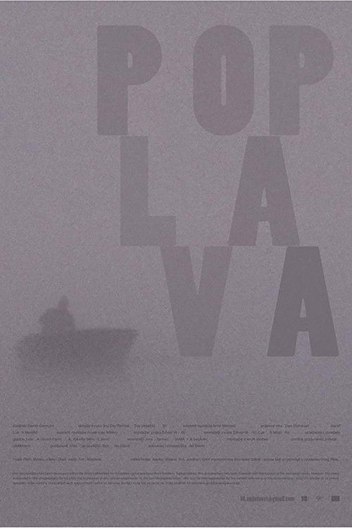 The Flood (2010) poster