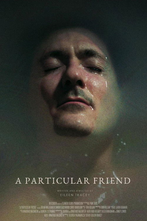 A Particular Friend (2023) poster