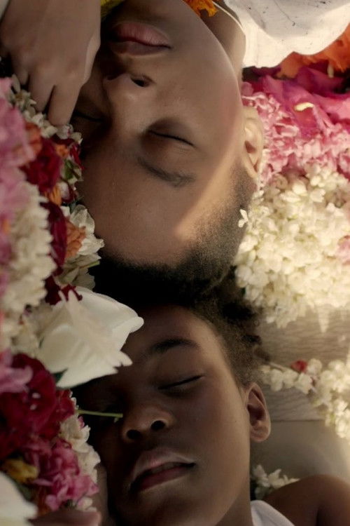 Minerva's Lilies (2016) poster