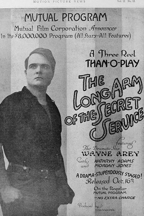 The Long Arm of the Secret Service (1915) poster
