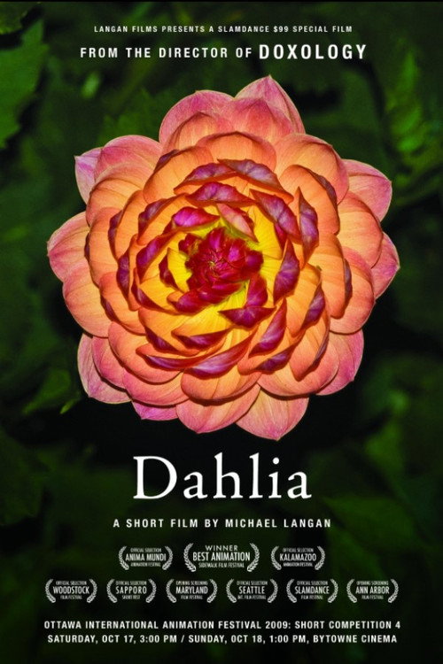 Dahlia (2008) poster