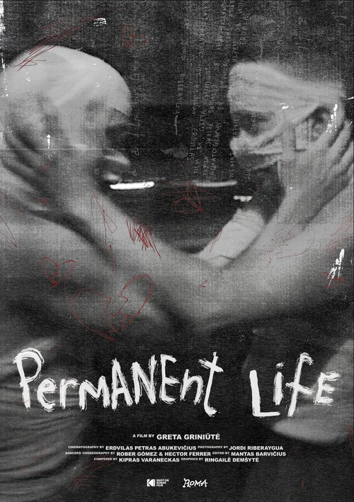 Permanent Life (2025) poster