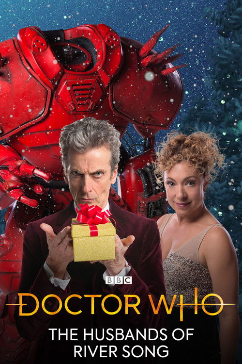 Doctor Who: The Husbands of River Song (2015) poster