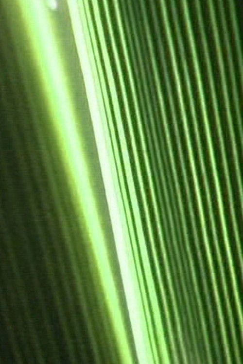 Bump Past Cut Up Through Windows (2004) poster