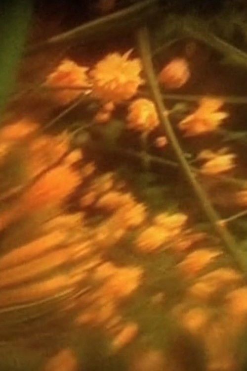 Preghiera n. 7 - Qual è la Mia Casa (Polittico di Primavera) (2005) poster