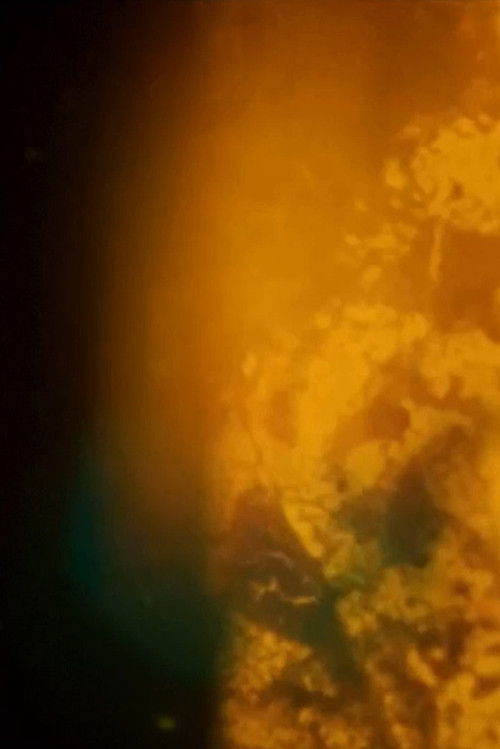 Particles (2020) poster