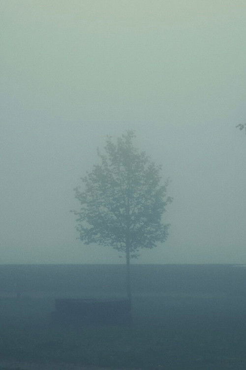 Great Are the Eyes of a Dead Father (2023) poster