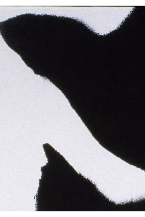 Errata (2005) poster