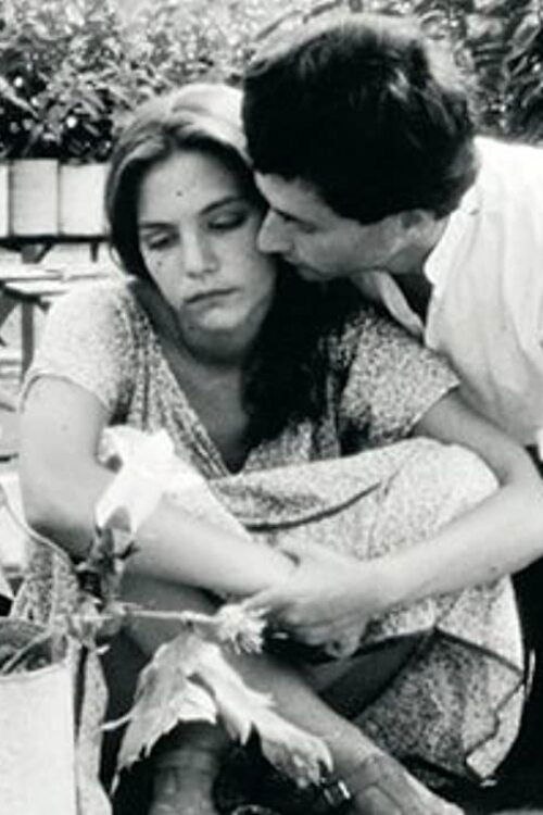 Fog Under the Sun (1980) poster