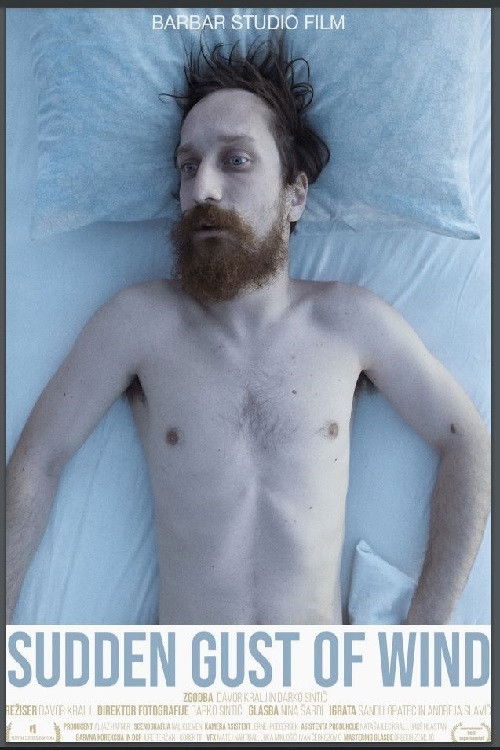 Sudden Gust of Wind (2021) poster