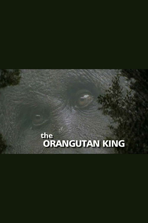 The Orangutan King (2005) poster