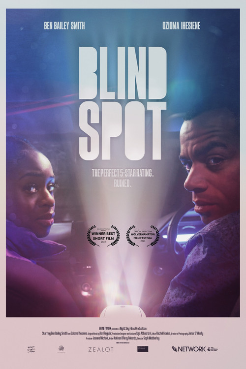 Blind Spot (2023) poster