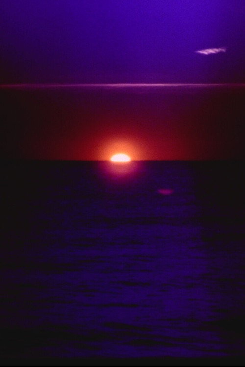 solar wave (2026) poster