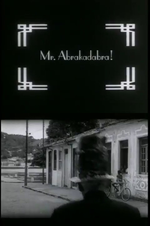 Mr. Abrakadabra! (1996) poster