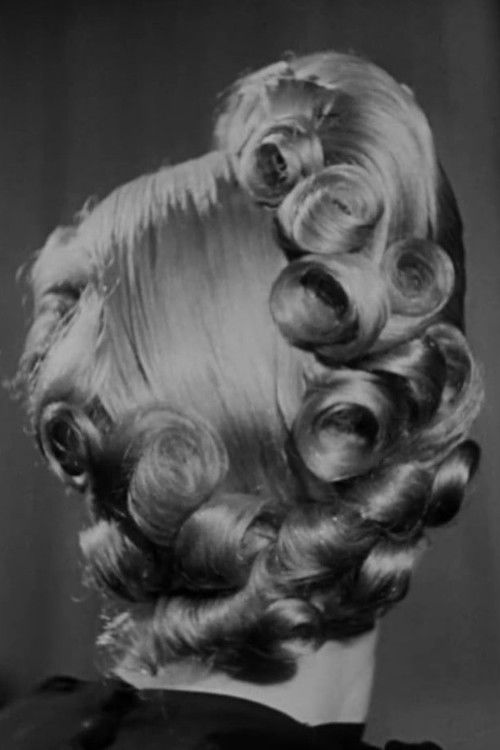 Not Only About Fashion (1965) poster