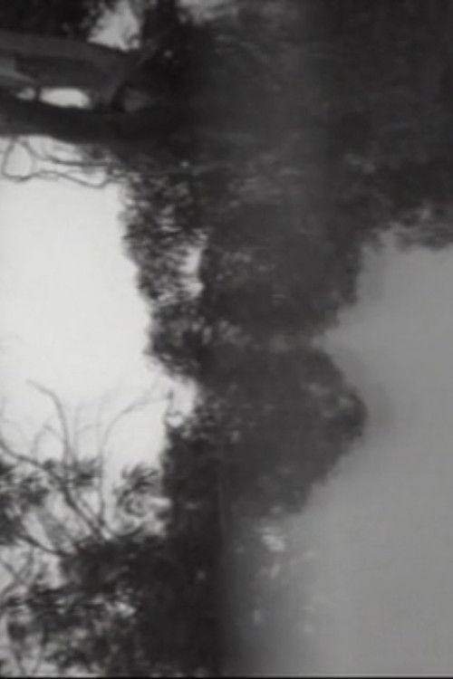 Attention, Focus, and Motion (1975) poster