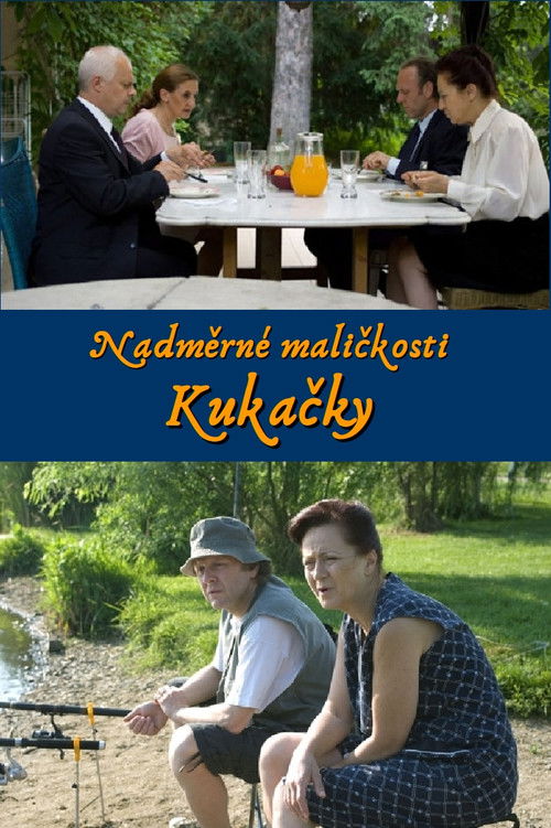Kukačky (2008) poster