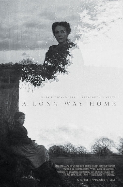 A Long Way Home (2019) poster