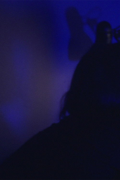 「 A M V 」 (2015) poster