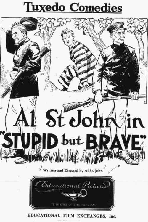Stupid, but Brave (1924) poster