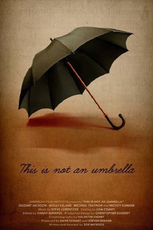 This is Not an Umbrella (2011) poster