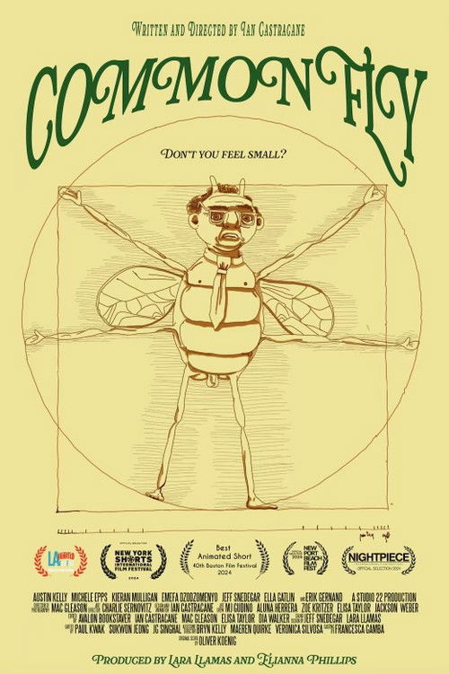 Common Fly poster