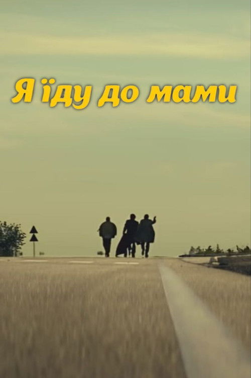 DZIDZIO: I'm going to my mom (2015) poster