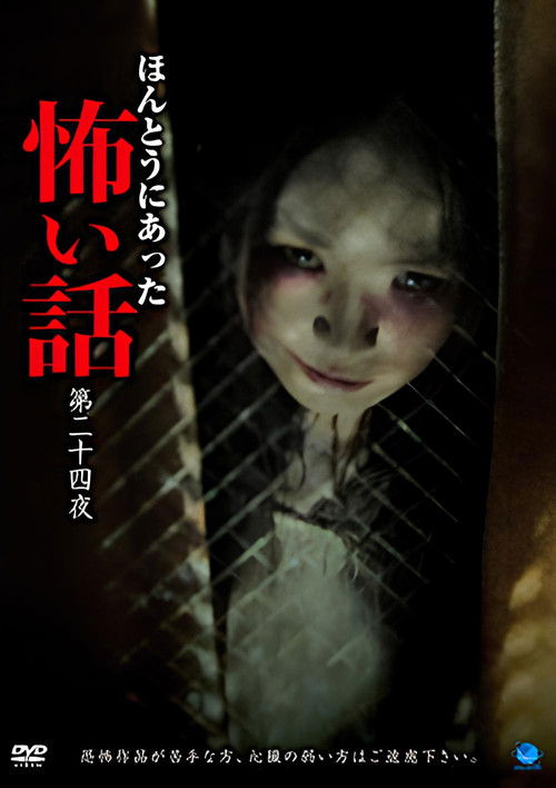 Scary True Stories: Night 24 (2013) poster