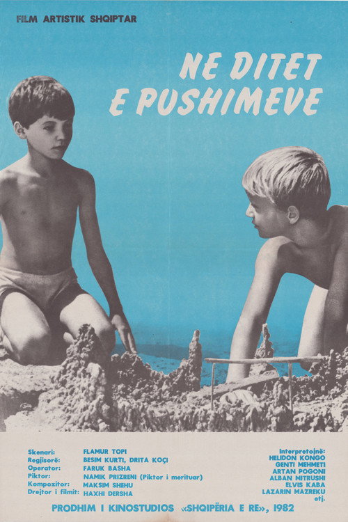 Në ditët e pushimeve (1982) poster