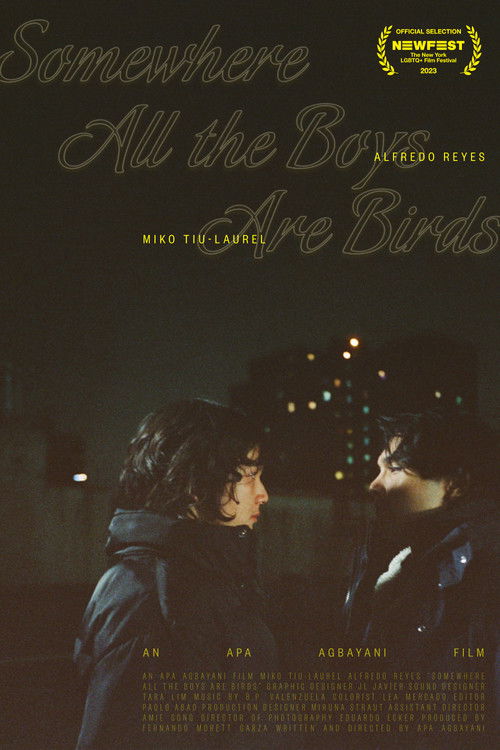 Somewhere all the boys are birds (2023) poster