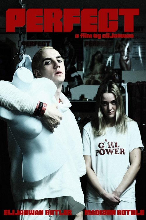 Perfect (2021) poster