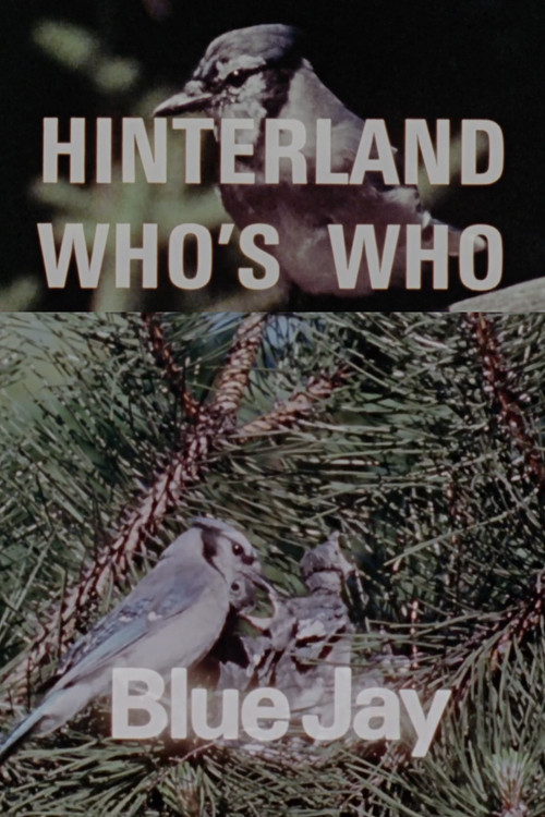 Hinterland Who's Who: Blue Jay (1972) poster