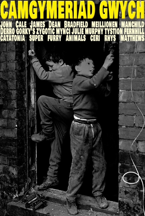 Camgymeriad Gwych (2000) poster