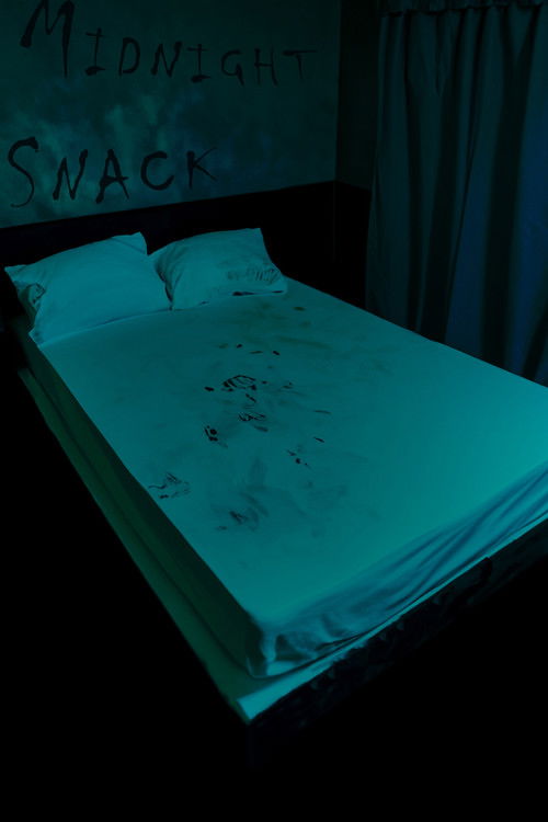 Midnight Snack (2024) poster