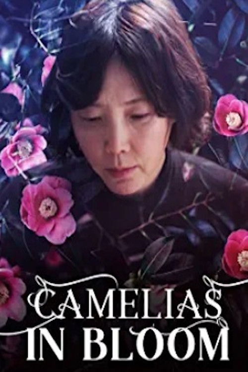 Camellias in Bloom (2017) poster