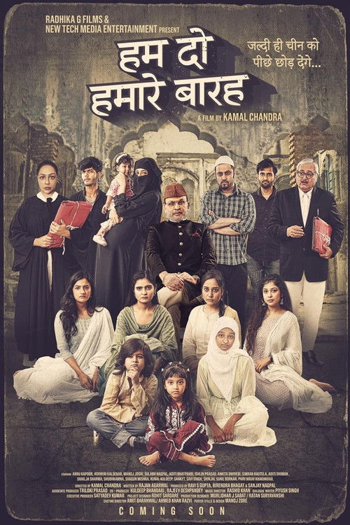Hamare Baarah (2024) poster