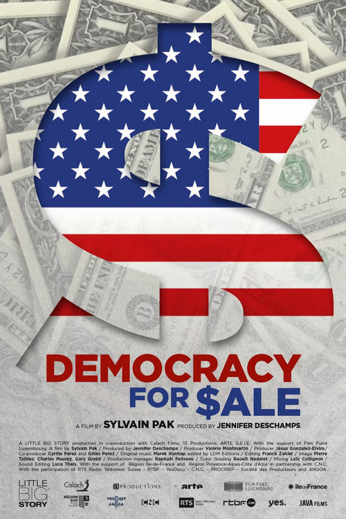 Democracy for $ale (2020) poster