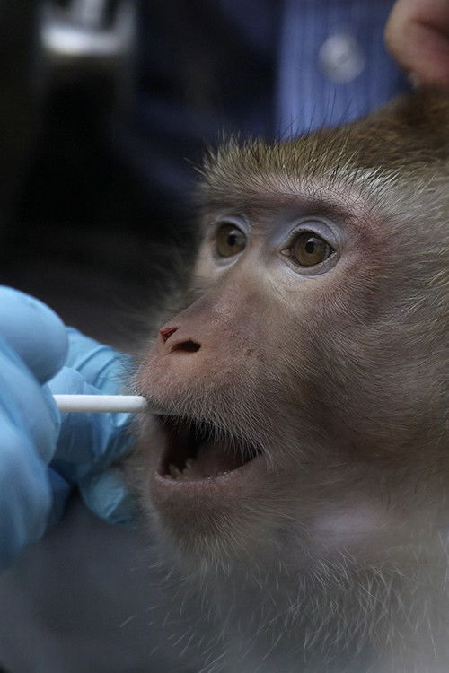 Sentient (2026) poster